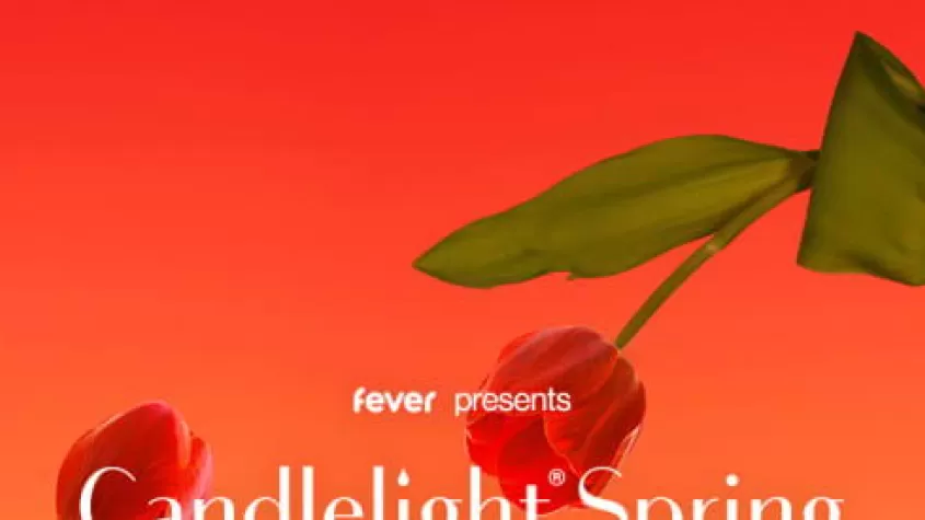  Candlelight Spring concerts bring the magic of a live, multi-sensory musical experience to awe-inspiring locations like never seen before in Fort Myers