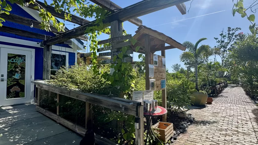 Front entrance viewing cafe