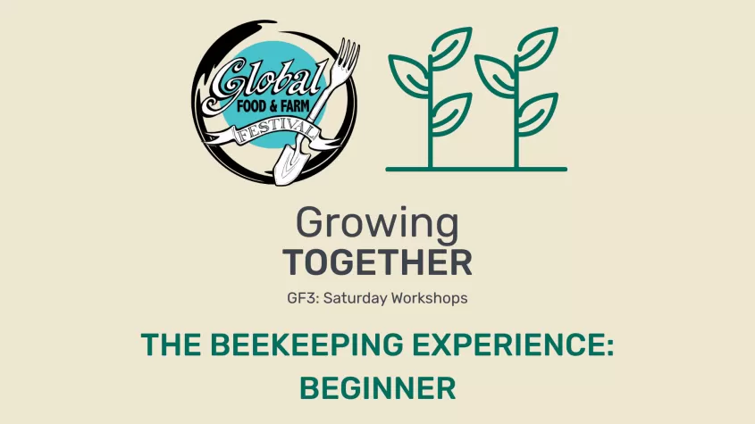 Beekeeping Beginner