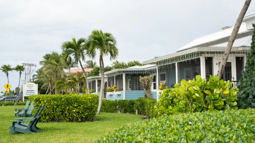 Beautiful picture of cottages along the road