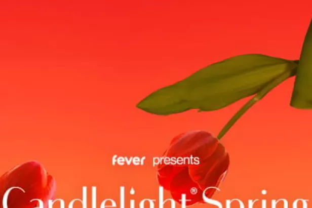  Candlelight Spring concerts bring the magic of a live, multi-sensory musical experience to awe-inspiring locations like never seen before in Fort Myers
