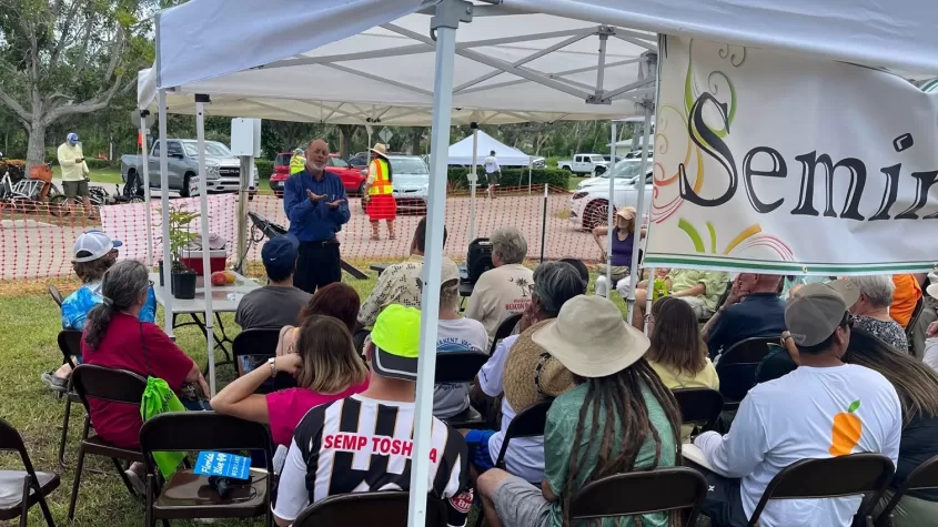 Seminars at MangoMania