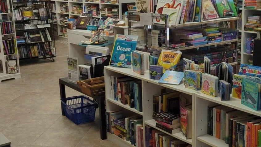 books and bookshelves