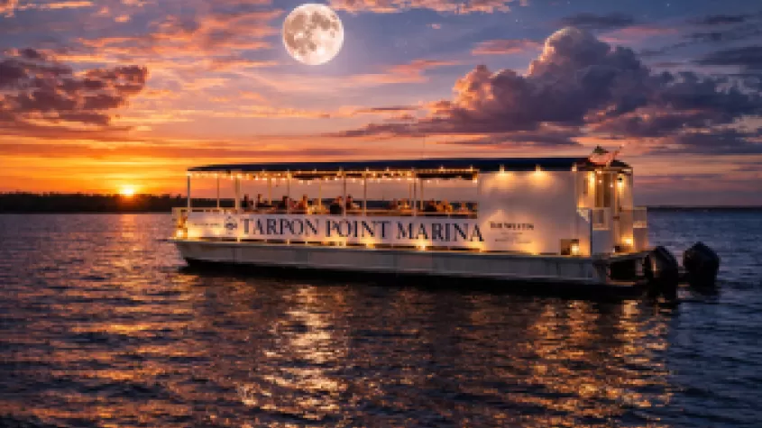 Nauti Mermaid Full Moon & Wine Cruise