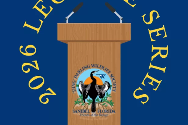 Lecture series logo

