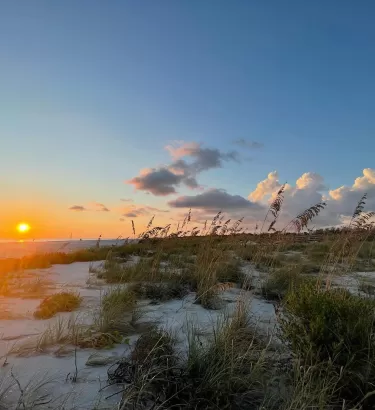 Beach Sea Oats Sunset