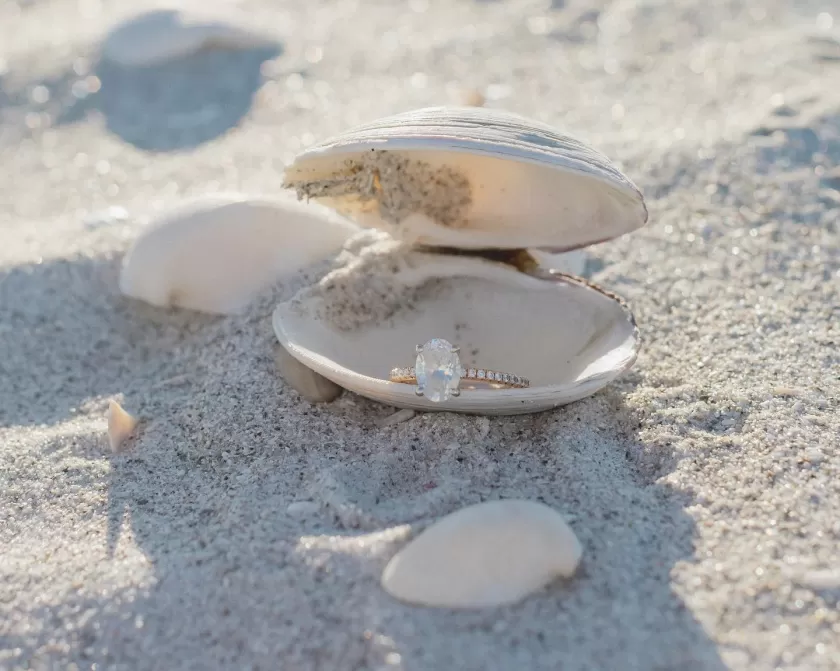 Shell Ring Romance Love Wedding Sand