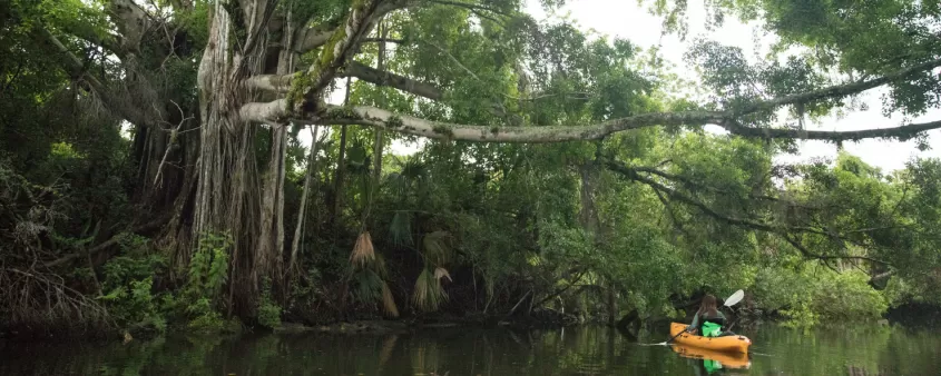 Kayak the day away