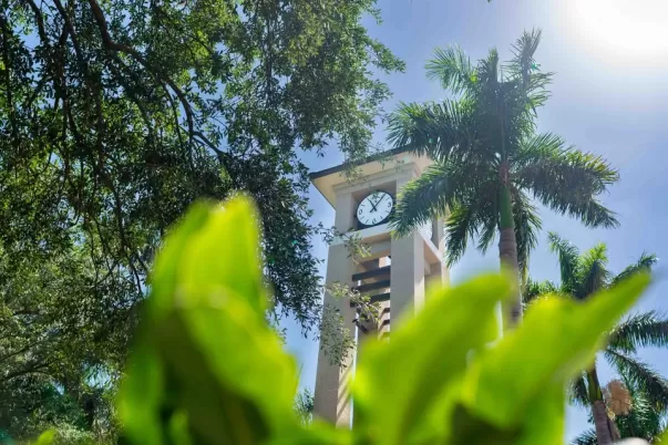 fsw clock